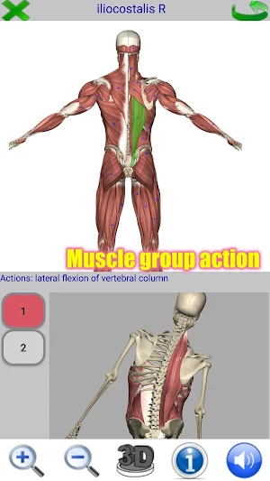 Visual Anatomy 2 Screenshot 1