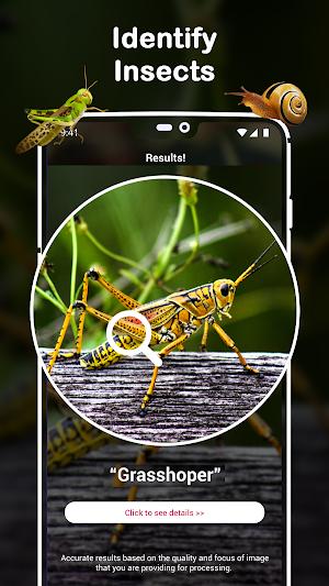 Insect Identifier : Insect ID, AI Photo Camera Screenshot 0