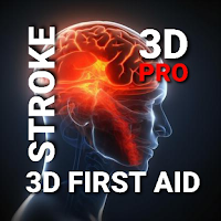 3D Pro Stroke Guidelines