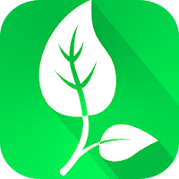 Vegetarian and Vegan Recipes: Diet and Nutrition