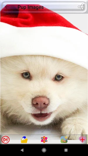 Puppy Dog Images Screenshot 0