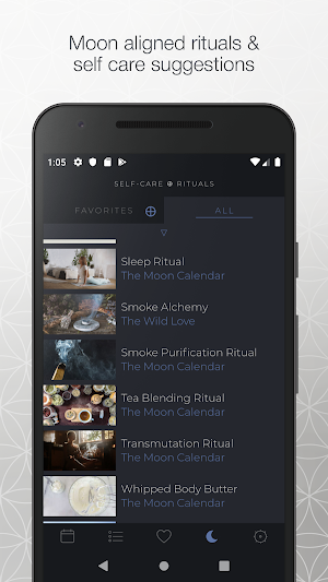 The Moon Calendar Screenshot 2