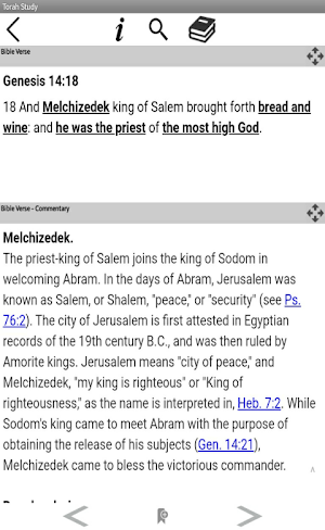 Torah Study Screenshot 2