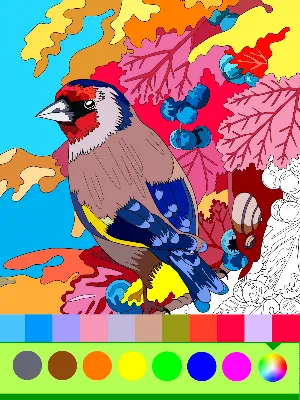 Birds Coloring Art Book Screenshot 3