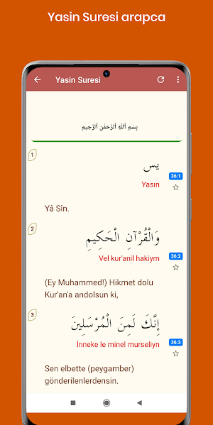 Yasin Suresi Pro (Sesli ve Takipli) Screenshot 2