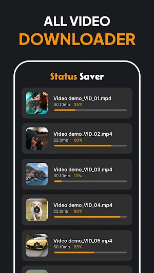 Video Downloader - Story Saver Screenshot 2