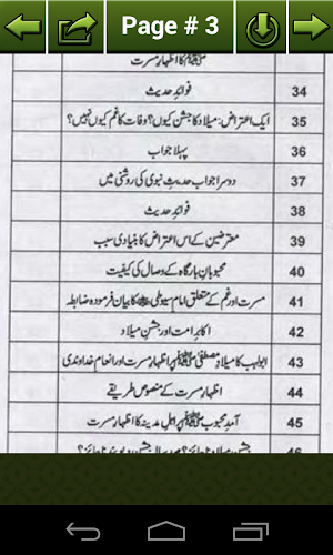 Melad Biddaat Ya Sunnat Screenshot 2