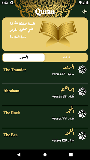 Quran Offline Screenshot 0