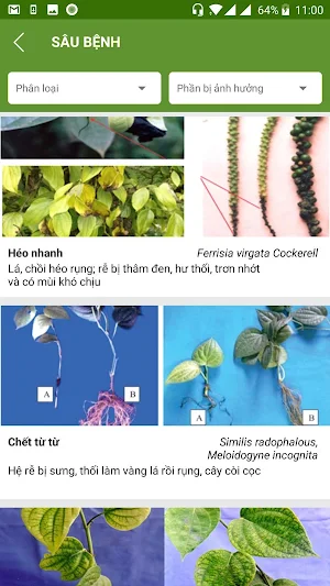 Viet Nam Pepper App - IPC Screenshot 2