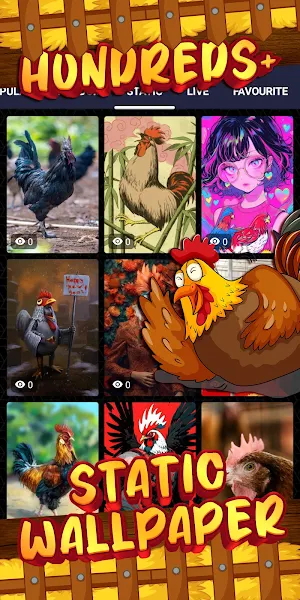 Chicken Wallpaper: HD & Live Screenshot 3