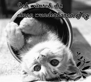 Guten Morgen Tag Abend Nacht Screenshot 2