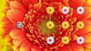 AppLock Theme Gerbera Screenshot 3