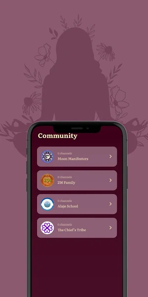 Chief Alaje Screenshot 2