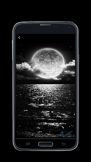 Black wallpaper Screenshot 0
