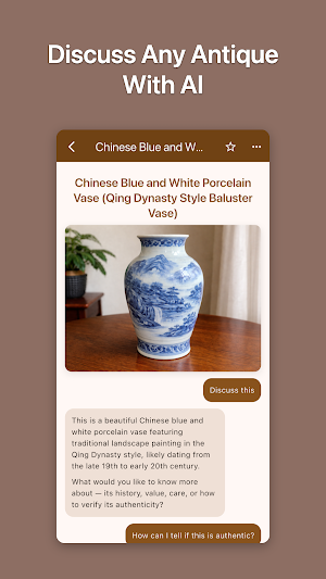 Vintage AI: Antique Identifier Screenshot 2