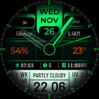 Watch Face WF172
