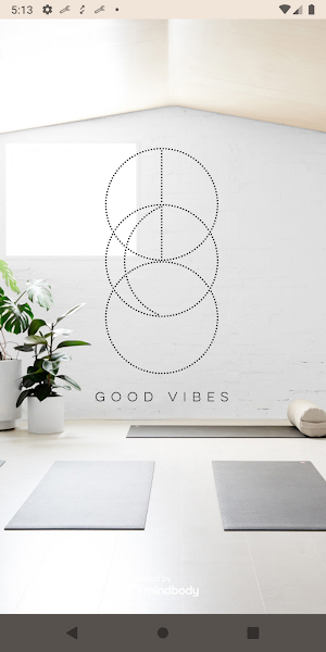 GOOD VIBES | Screenshot 0