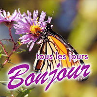 Good Morning Everyday Greetings in French