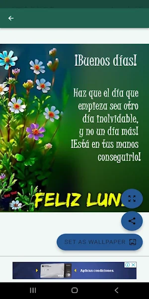 Saludos Días de la Semana Screenshot 3