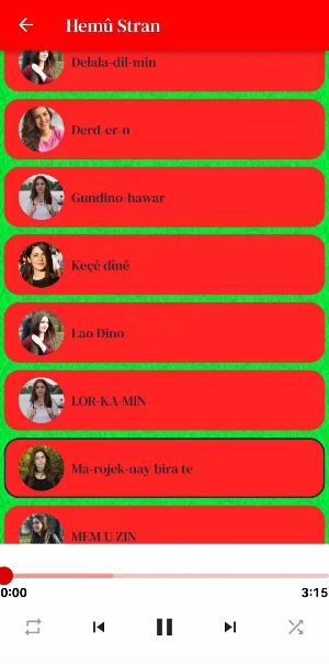 Rojbin Kizil Screenshot 2
