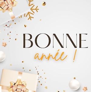 Bonne Année Screenshot 1