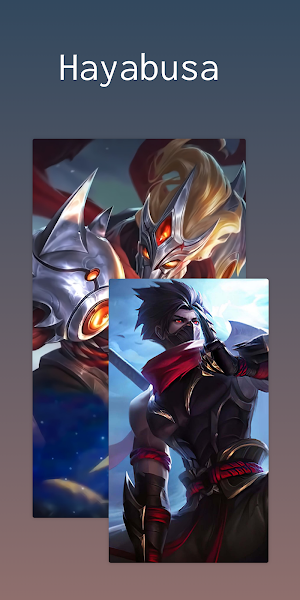 Assassin Wallpaper Screenshot 0