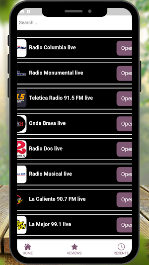Radio Costa Rica FM online Screenshot 1