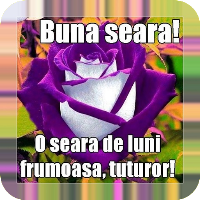 Bună Seara