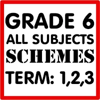 Grade 6 all subjects schemes