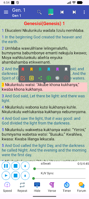Siswati English Audio Bible Screenshot 0