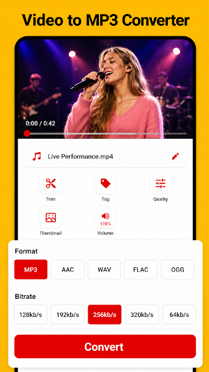Video to MP3 Converter Screenshot 1