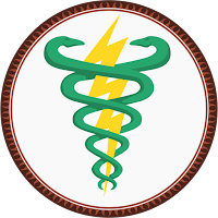 Simulado Fisioterapia