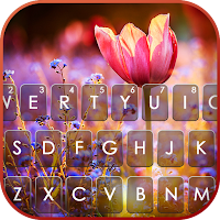 Sunshine Flowers Keyboard Background