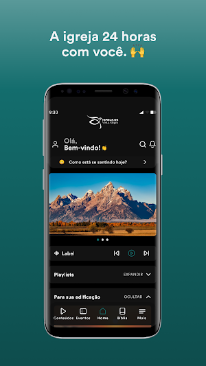 PIBVA Screenshot 0