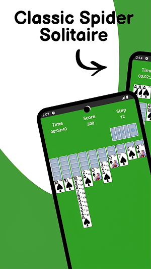 Classic Spider Solitaire Screenshot 0
