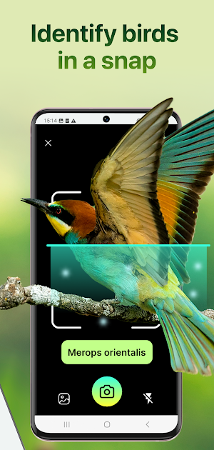 Bird Identifier: Sound Bird ID Screenshot 2