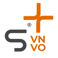 Spiga+ Inventarios VN/VO