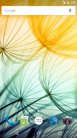 Wallpapers Dandelion Screenshot 2