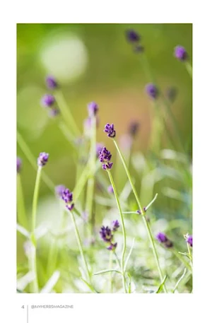 My Herbs Magazine Screenshot 3