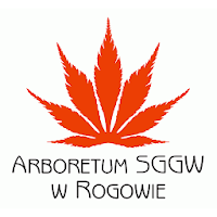 Arboretum w Rogowie Audioprzewodnik
