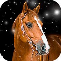 Horse Wallpaper HD: Themes