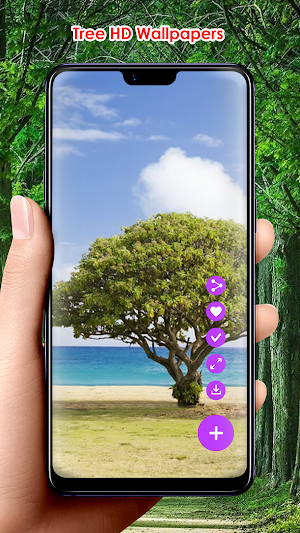Tree HD Wallpapers Screenshot 2