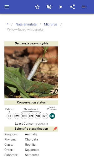 Venomous animals Screenshot 3
