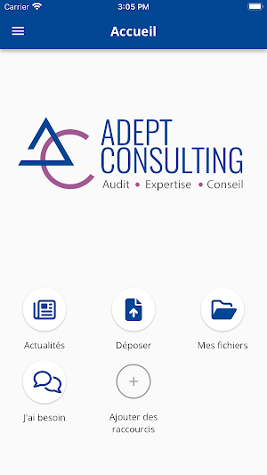 Adept Consulting Screenshot 1