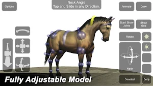 Horse Mannequin Screenshot 1