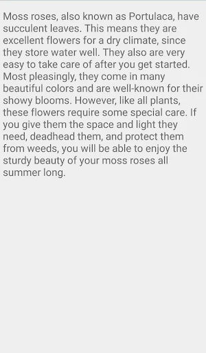 Moss Rose Flower Screenshot 1