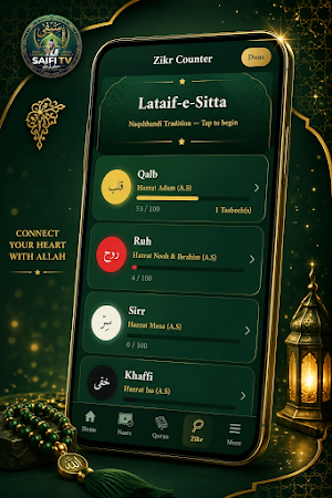 Saifi TV Screenshot 1