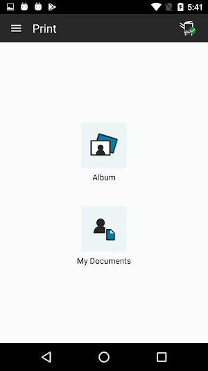 Mobile Print for bizhub 205i/225i Screenshot 1