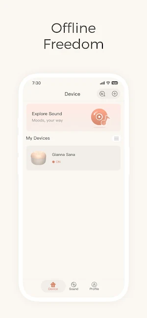 GiannaFlow Screenshot 2