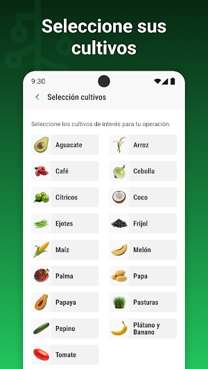 Detecta App Screenshot 1